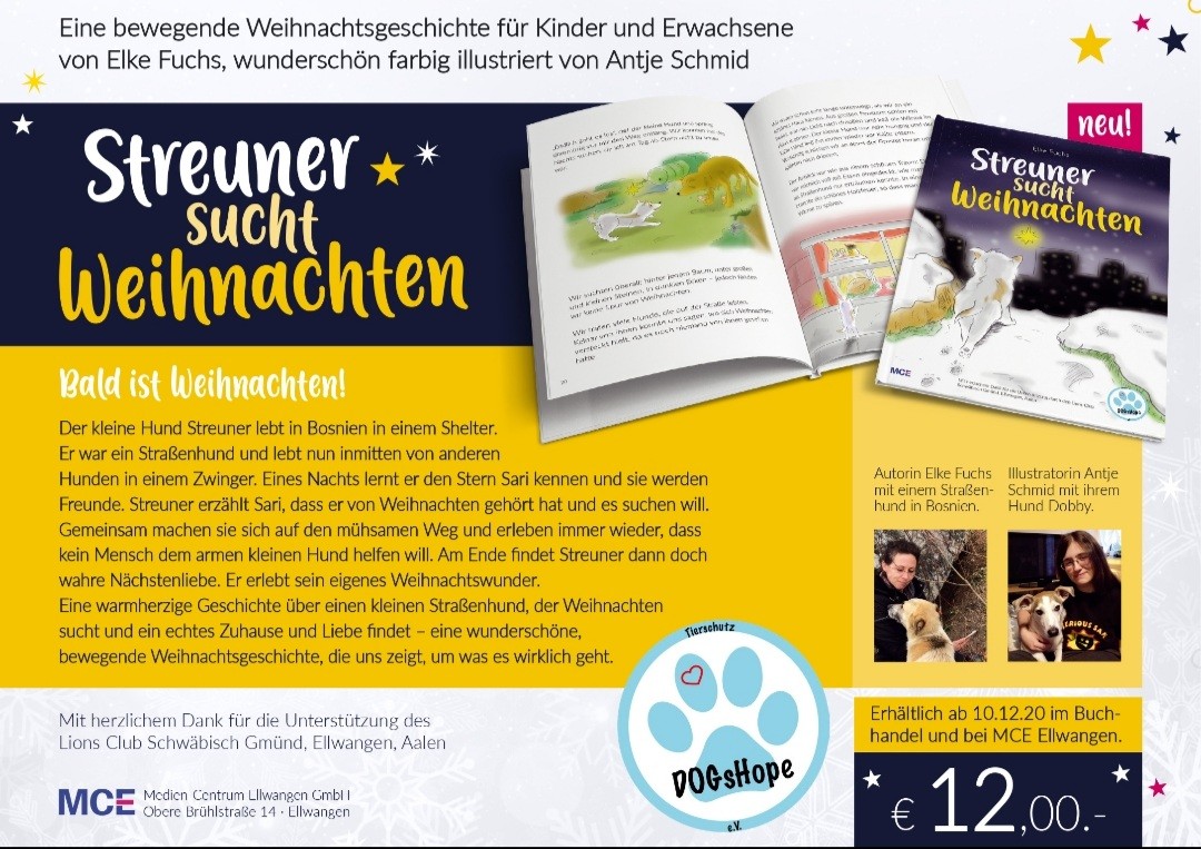 Streuner sucht Weihnachten – Buch